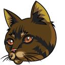 Warrior Cats Bramblestar