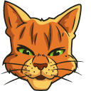 Warrior Cats Firestar