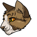 Warrior Cats Leafpool