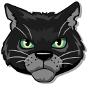 Warrior Cats Nightpelt