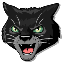 Warrior Cats Nightpelt