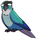 Jaiden Animations